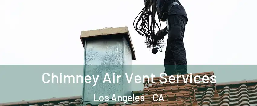  Chimney Air Vent Services Los Angeles - CA
