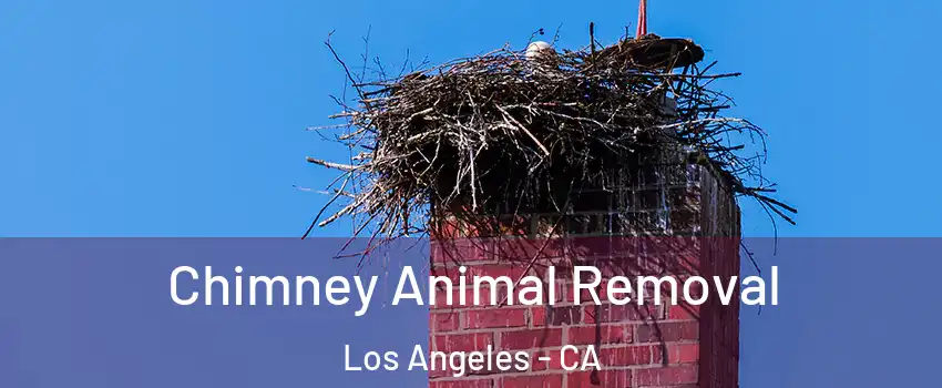 Chimney Animal Removal Los Angeles - CA
