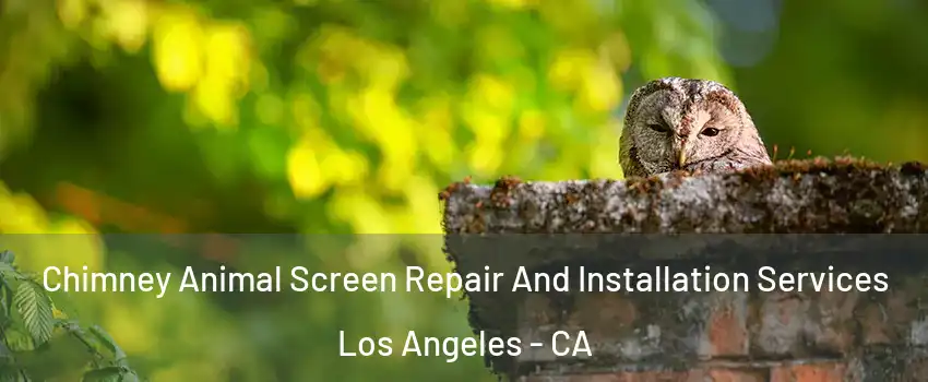  Chimney Animal Screen Repair And Installation Services Los Angeles - CA