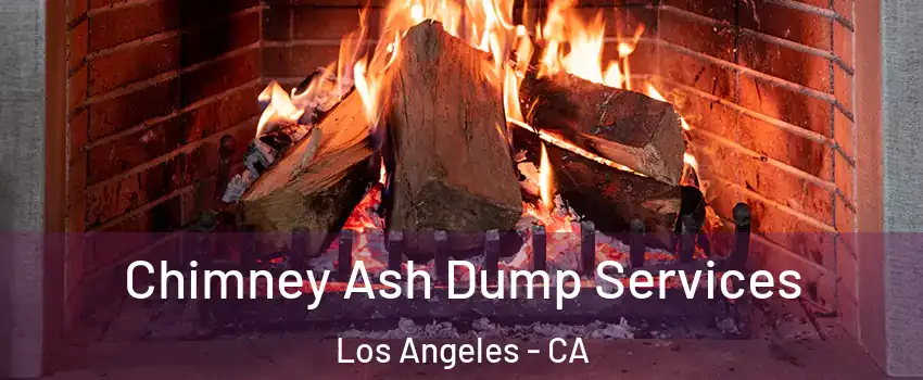  Chimney Ash Dump Services Los Angeles - CA