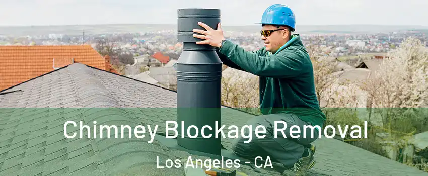  Chimney Blockage Removal Los Angeles - CA