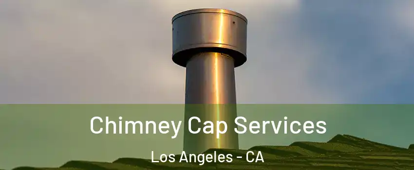  Chimney Cap Services Los Angeles - CA