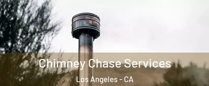  Chimney Chase Services Los Angeles - CA