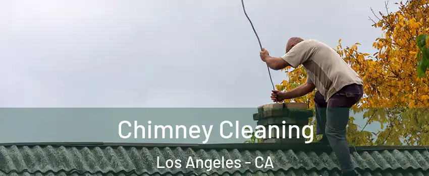  Chimney Cleaning Los Angeles - CA