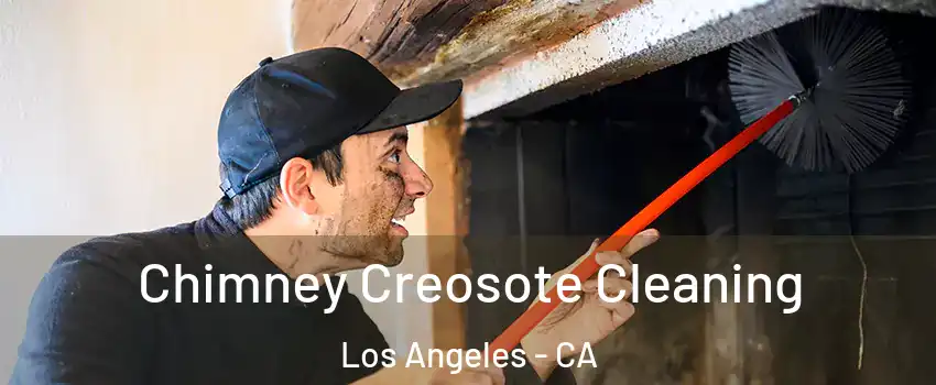  Chimney Creosote Cleaning Los Angeles - CA