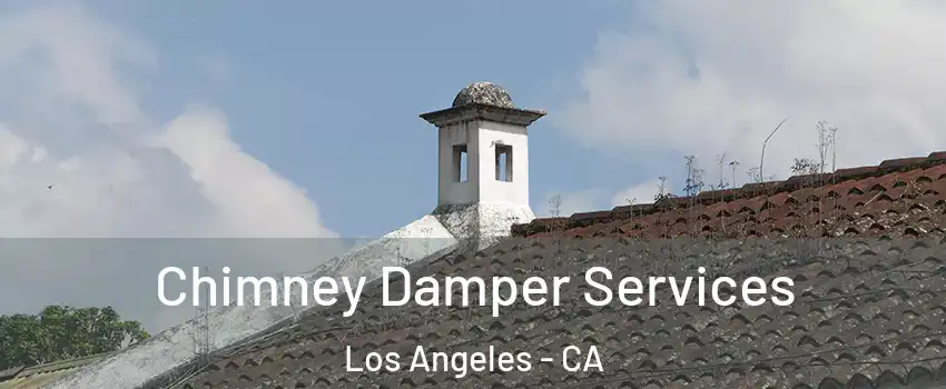  Chimney Damper Services Los Angeles - CA