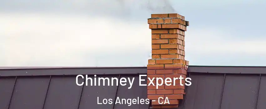  Chimney Experts Los Angeles - CA