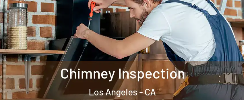  Chimney Inspection Los Angeles - CA