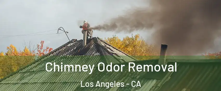  Chimney Odor Removal Los Angeles - CA
