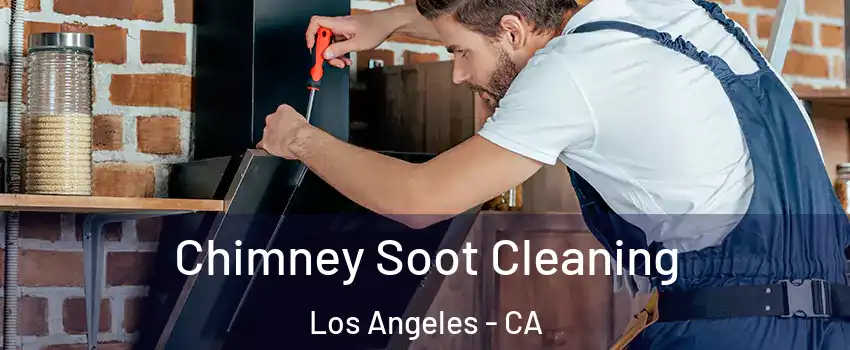  Chimney Soot Cleaning Los Angeles - CA