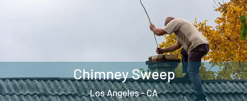 Chimney Sweep Los Angeles - CA