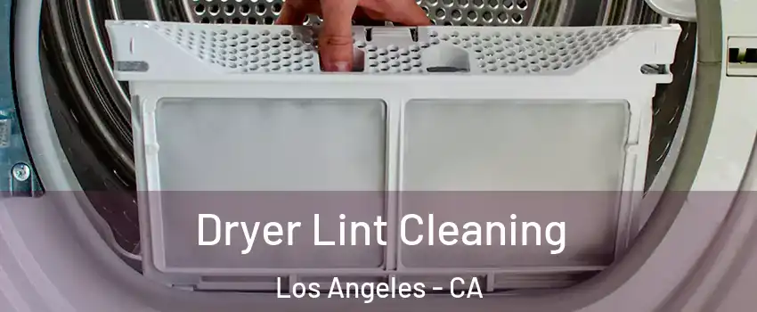  Dryer Lint Cleaning Los Angeles - CA