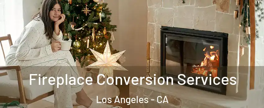  Fireplace Conversion Services Los Angeles - CA