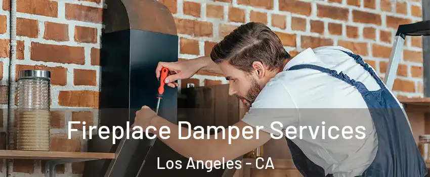  Fireplace Damper Services Los Angeles - CA