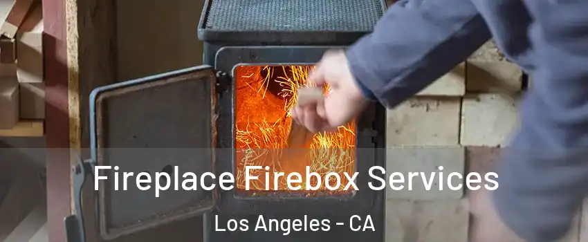  Fireplace Firebox Services Los Angeles - CA
