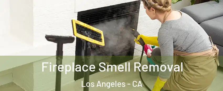 Fireplace Smell Removal Los Angeles - CA