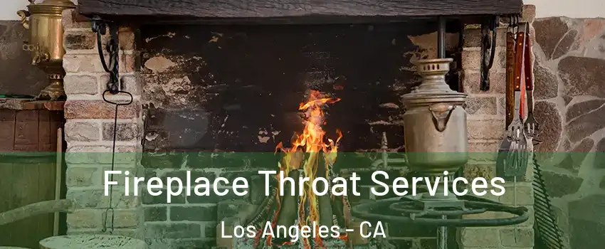  Fireplace Throat Services Los Angeles - CA
