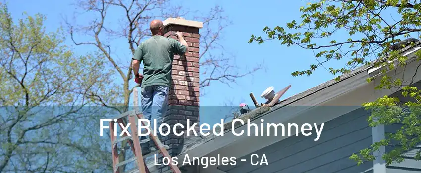  Fix Blocked Chimney Los Angeles - CA