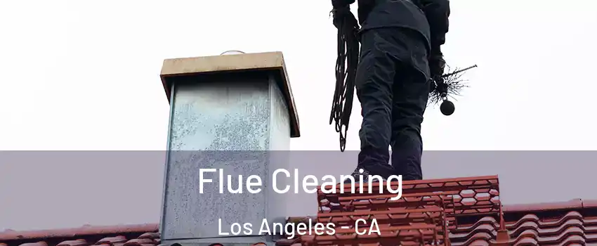  Flue Cleaning Los Angeles - CA