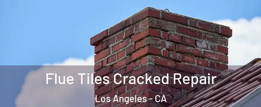  Flue Tiles Cracked Repair Los Angeles - CA