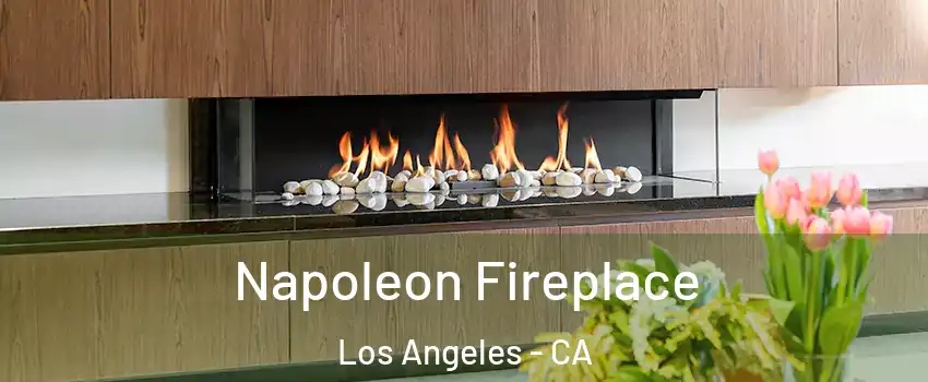  Napoleon Fireplace Los Angeles - CA