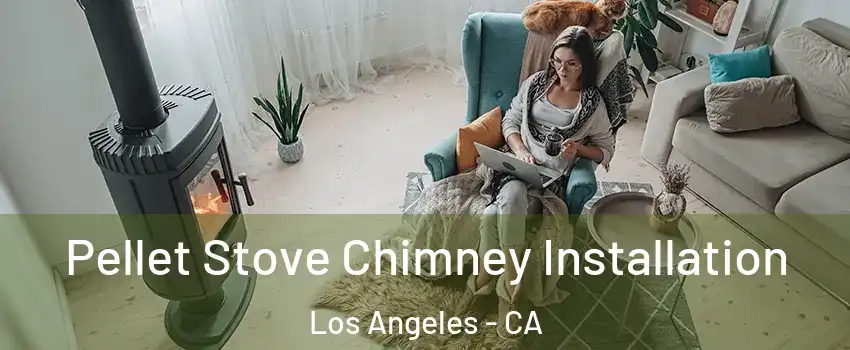  Pellet Stove Chimney Installation Los Angeles - CA